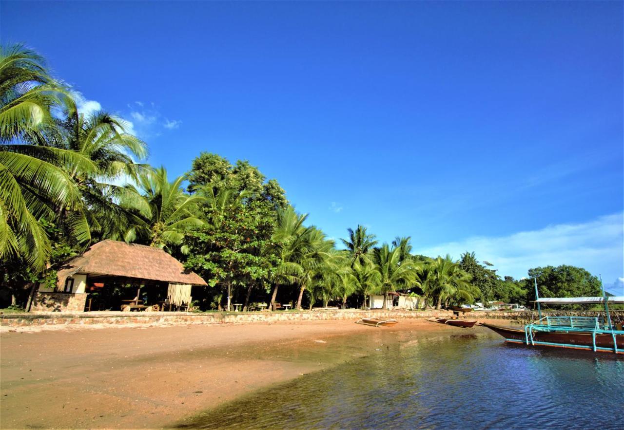 Concepcion Divers Lodge Busuanga Exteriér fotografie