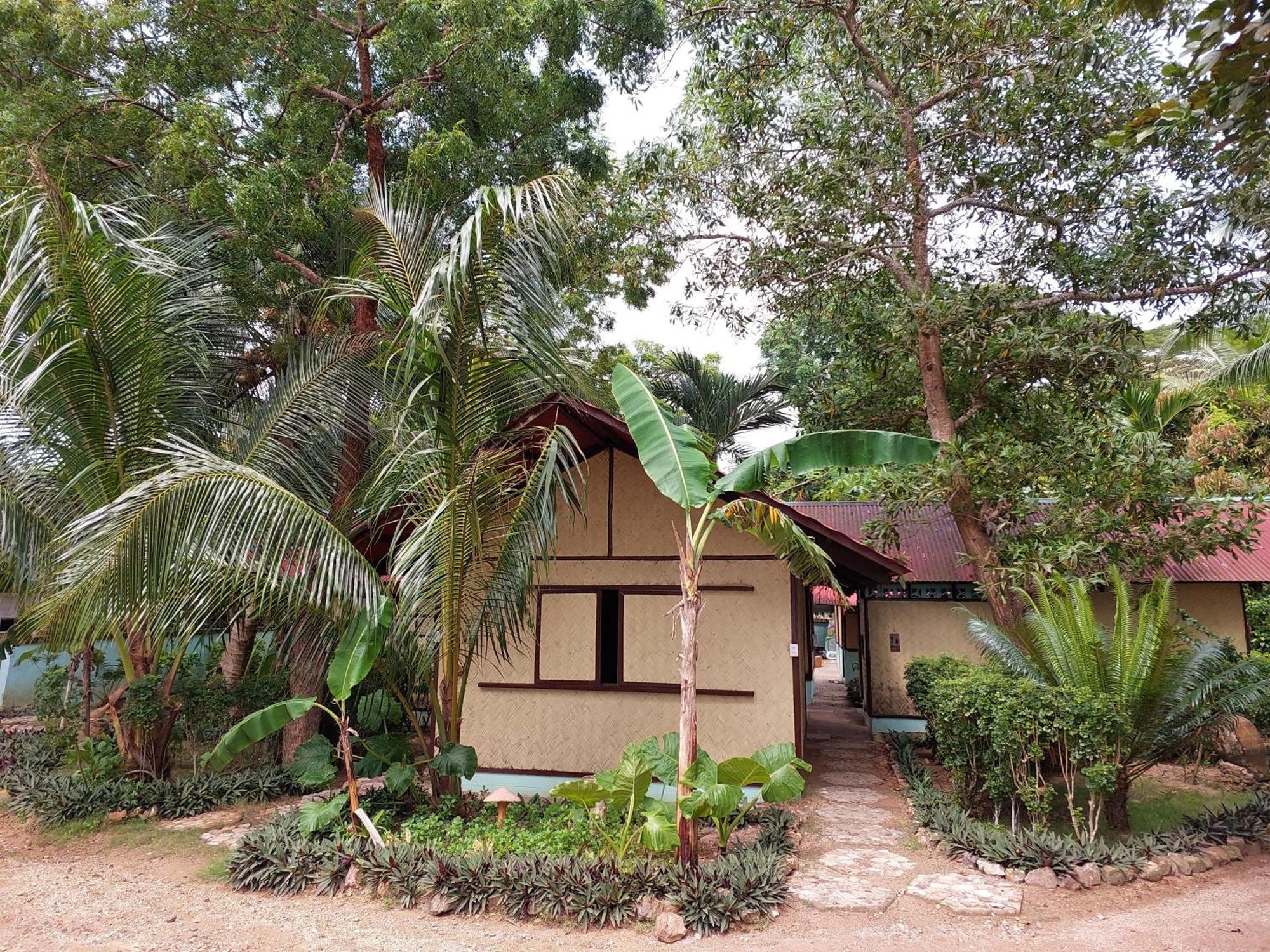 Concepcion Divers Lodge Busuanga Exteriér fotografie