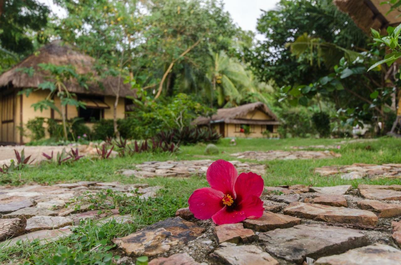 Concepcion Divers Lodge Busuanga Exteriér fotografie