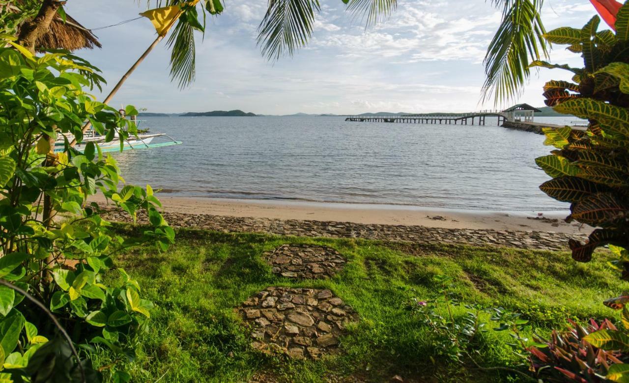 Concepcion Divers Lodge Busuanga Exteriér fotografie