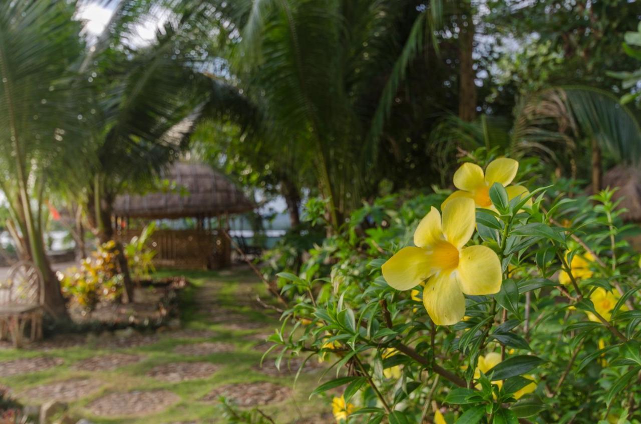 Concepcion Divers Lodge Busuanga Exteriér fotografie