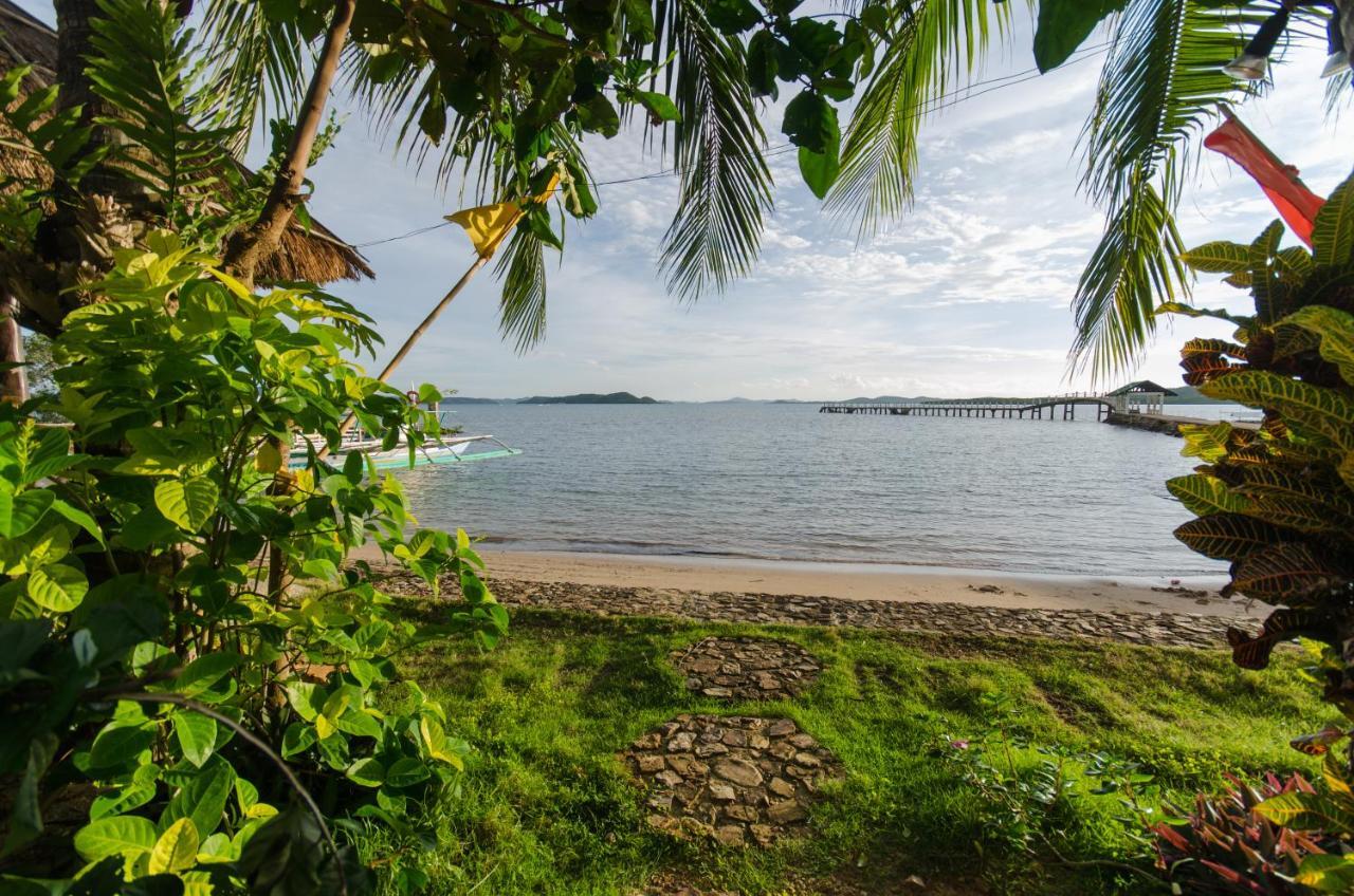 Concepcion Divers Lodge Busuanga Exteriér fotografie