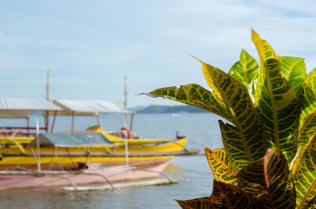 Concepcion Divers Lodge Busuanga Exteriér fotografie