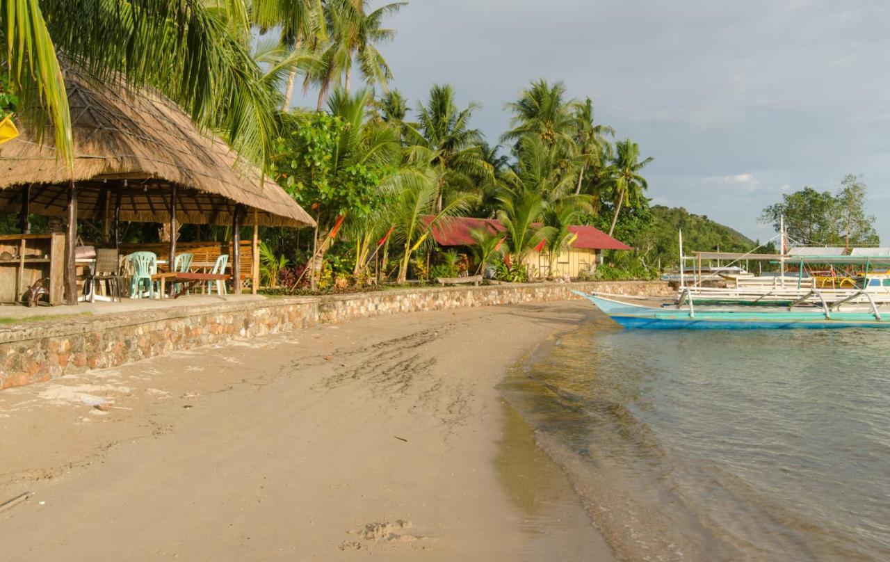 Concepcion Divers Lodge Busuanga Exteriér fotografie